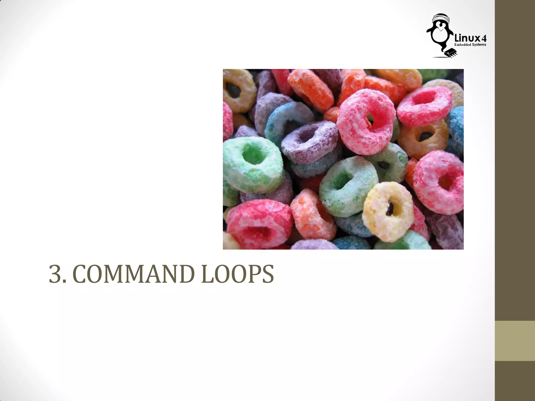 3. COMMAND LOOPS
 
