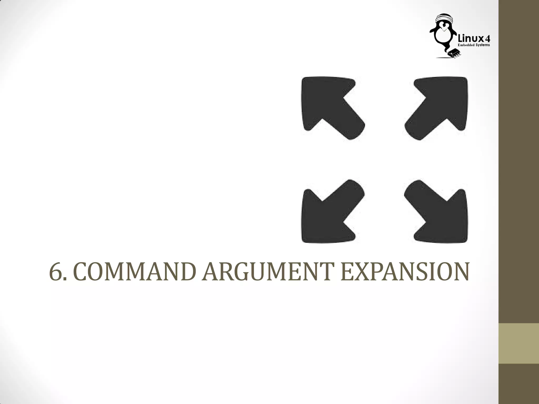 6. COMMAND ARGUMENT EXPANSION
 