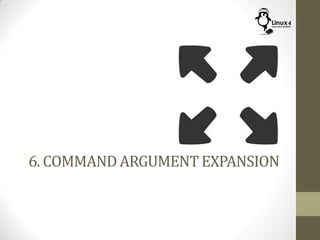 6. COMMAND ARGUMENT EXPANSION
 
