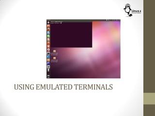 USING EMULATED TERMINALS
 