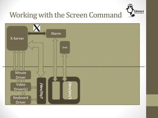 Working with the Screen Command
Keyboard
Driver
X-Server
Mouse
Driver
Video
Driver(s)
/dev/tty7
Xterm
Shell
/dev/pts/1
 