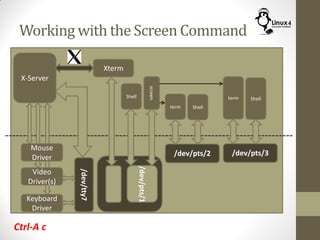Working with the Screen Command
Keyboard
Driver
X-Server
Mouse
Driver
Video
Driver(s)
/dev/tty7
Xterm
Shell
command
/dev/pts/1
screen
term
/dev/pts/2
Shell
term
/dev/pts/3
Shell
Ctrl-A c
 