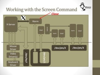 Working with the Screen Command
Keyboard
Driver
X-Server
Mouse
Driver
Video
Driver(s)
/dev/tty7
Xterm
Shell
command
/dev/pts/1
screen
term
/dev/pts/2
Shell
term
/dev/pts/3
Shell
Close
 
