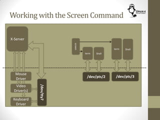 Working with the Screen Command
Keyboard
Driver
X-Server
Mouse
Driver
Video
Driver(s)
/dev/tty7
commandscreen
term
/dev/pts/2
Shell
term
/dev/pts/3
Shell
 