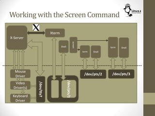 Working with the Screen Command
Keyboard
Driver
X-Server
Mouse
Driver
Video
Driver(s)
/dev/tty7
Xterm
Shell
command
/dev/pts/1
screen
term
/dev/pts/2
Shell
term
/dev/pts/3
Shell
 