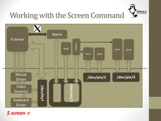 Working with the Screen Command
Keyboard
Driver
X-Server
Mouse
Driver
Video
Driver(s)
/dev/tty7
Xterm
Shell
command
/dev/pts/1
screen
term
/dev/pts/2
Shell
term
/dev/pts/3
Shell
$ screen -r
 
