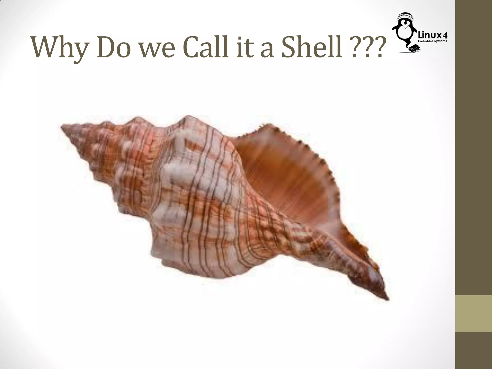 Why Do we Call it a Shell ???
 