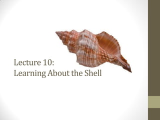 Lecture 10:
Learning About the Shell
 
