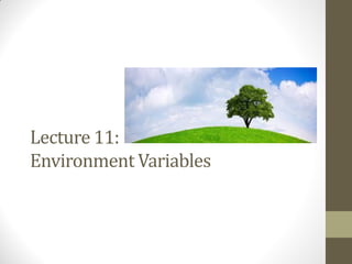 Course 102: Lecture 11: Environment Variables | PDF