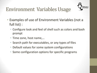 Course 102: Lecture 11: Environment Variables | PDF