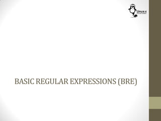 BASIC REGULAR EXPRESSIONS (BRE)
 