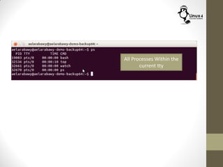 All Processes Within the
current tty
 