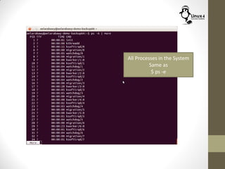 All Processes in the System
Same as
$ ps -e
 