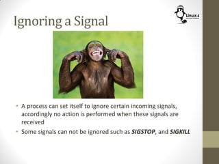 Ignoring a Signal
• A process can set itself to ignore certain incoming signals,
accordingly no action is performed when these signals are
received
• Some signals can not be ignored such as SIGSTOP, and SIGKILL
 