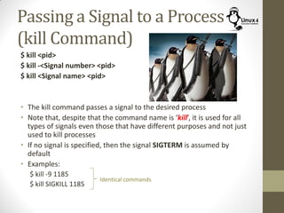 Passing a Signal to a Process
(kill Command)
$ kill <pid>
$ kill -<Signal number> <pid>
$ kill <Signal name> <pid>
• The kill command passes a signal to the desired process
• Note that, despite that the command name is ‘kill’, it is used for all
types of signals even those that have different purposes and not just
used to kill processes
• If no signal is specified, then the signal SIGTERM is assumed by
default
• Examples:
$ kill -9 1185
$ kill SIGKILL 1185
Identical commands
 