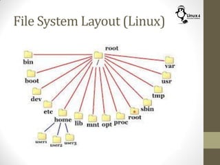 File System Layout (Linux)
 