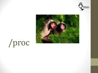 /proc
 