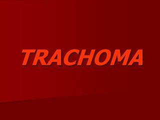 TRACHOMA
 