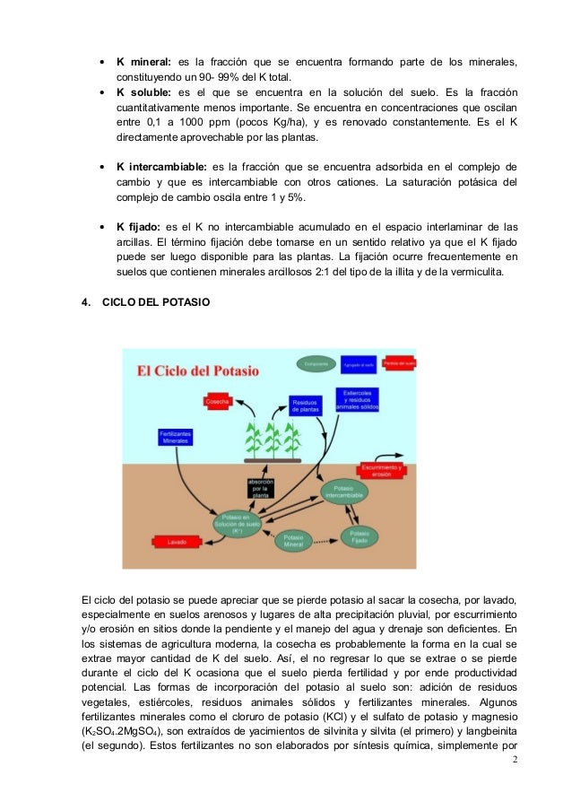 C10 potasio en el suelo