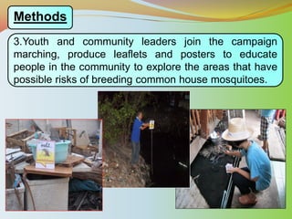 Surveillance and Prevention of Dengue Fever in the Community | PDF