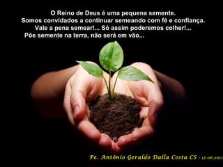 O Reino de Deus é uma pequena semente.
Somos convidados a continuar semeando com fé e confiança.
    Vale a pena semear!... Só assim poderemos colher!...
 Põe semente na terra, não será em vão...




                     Pe. Antônio Geraldo Dalla Costa CS   - 17.06.2011
 