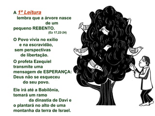 A 1ª Leitura
 lembra que a árvore nasce
              de um
pequeno REBENTO.
                  (Ez 17,22-24)

O Povo vivia no exílio
   e na escravidão,
 sem perspectivas
    de libertação.
O profeta Ezequiel
transmite uma
mensagem de ESPERANÇA:
Deus não se esqueceu
     do seu povo.
Ele irá até a Babilônia,
tomará um ramo
         da dinastia de Davi e
o plantará no alto de uma
montanha da terra de Israel.
 