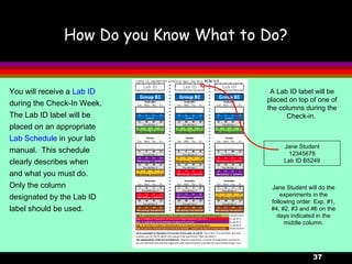 Labstyle Numbering C121 orientation sept2013 | PPT