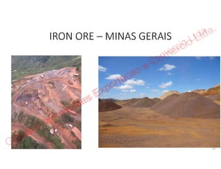 Global Commodities Exportacao e Comercio Ltda.
 