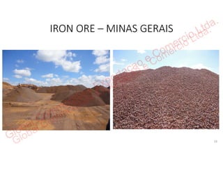 Global Commodities Exportacao e Comercio Ltda.
 