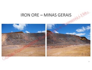 Global Commodities Exportacao e Comercio Ltda.
 