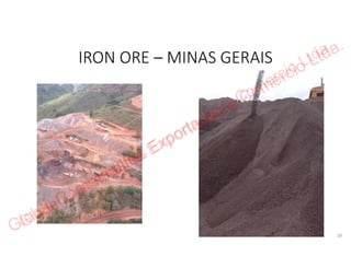 Global Commodities Exportacao e Comercio Ltda.
 