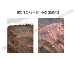 Global Commodities Exportacao e Comercio Ltda.
 