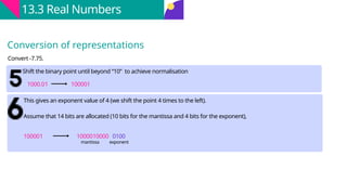 Comprehensive Overview of Data Types, File Organisation, and Real ...