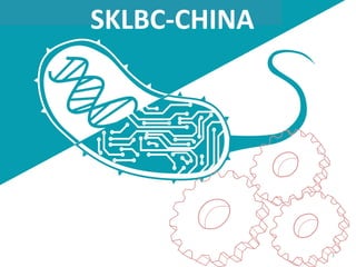 SKLBC-CHINA
1
 