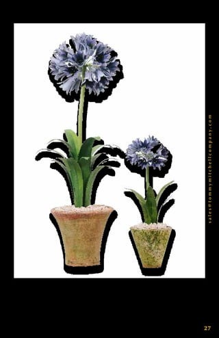 sales@tommymitchellcompany.com
27
A g a p a n t h u s S t a n d a r d ( p u r p l e ) 0 0 0 L A G P. A g a p a n t h u s S t u d i o
( p u r p l e ) 0 0 0 S A G P. E a c h p i e c e i s d e s i g n e d b y To m m y, h a n d
c r a f t e d , s i g n e d a n d d a t e d . C u s t o m c o l o r s a v a i l a b l e .
 