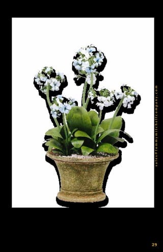 sales@tommymitchellcompany.com
29
M u l t i - S t e m P r i m u l a ( N a t u r a l ) 0 0 0 M S P P. 19 ” T x 10 ” W. E a c h
p i e c e i s d e s i g n e d b y To m m y, h a n d c r a f t e d , s i g n e d a n d d a t e d .
C u s t o m c o l o r s a v a i l a b l e .
 