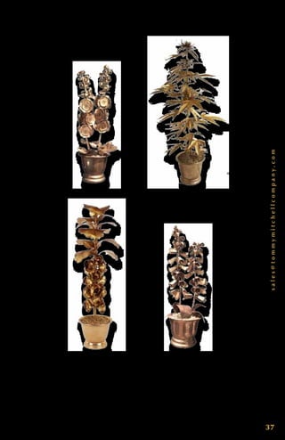 sales@tommymitchellcompany.com
37
D o u b l e H o l l y h o c k S t a n d a r d ( G i l d e d ) 0 0 0 D H H G . 2 2 ” T x 8 ” W.
C a n n a b i s 0 0 0 C A N I G . 24 ” T x 8 ” W. B r u s s s e l S p r o u t s ( G i l d e d )
0 0 0 B S G S . 26” T x 8 ” W. D o u b l e F o x g l o v e S t a n d a r d ( G i l d e d )
0 0 0 D F XG . 2 2 ” T x 8 ” W.
 