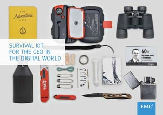 1
SURVIVAL KIT
FOR THE CEO IN
THE DIGITAL WORLD
 