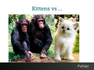 Kittens vs …
 