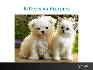 Kittens vs Puppies
 