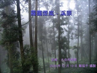 霧靄煙嵐－溪頭   2009 年 12 月 19 日 鄭福平 攝製 音樂：大自然樂章 