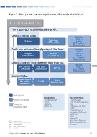 C14 idf guideline for older people t2 d | PDF