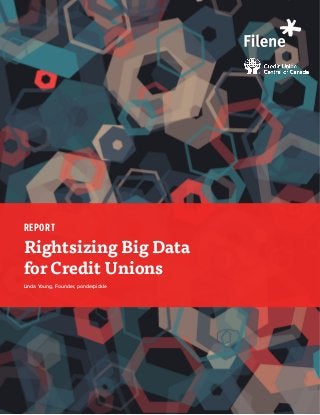 REPORT
Rightsizing Big Data
for Credit Unions
Linda Young, Founder, ponderpickle
 