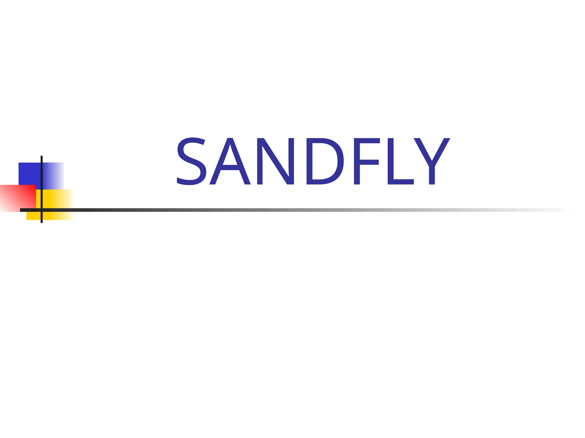 SANDFLY
 