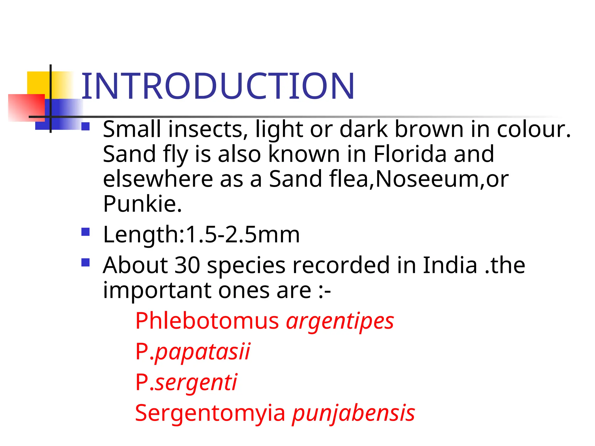 INTRODUCTION
 Small insects, light or dark brown in colour.
Sand fly is also known in Florida and
elsewhere as a Sand flea,Noseeum,or
Punkie.
 Length:1.5-2.5mm
 About 30 species recorded in India .the
important ones are :-
Phlebotomus argentipes
P.papatasii
P.sergenti
Sergentomyia punjabensis
 