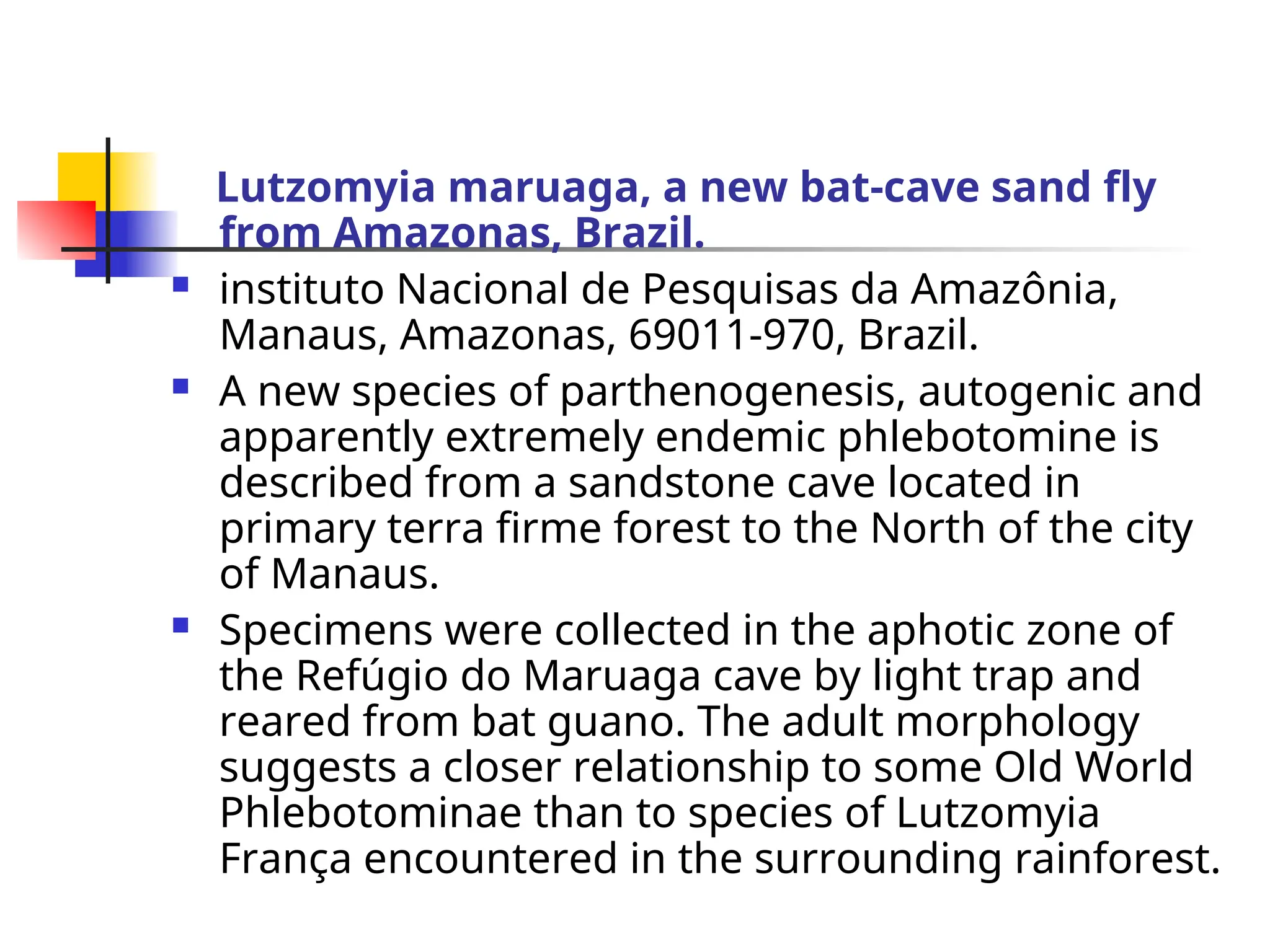 Lutzomyia maruaga, a new bat-cave sand fly
from Amazonas, Brazil.
 instituto Nacional de Pesquisas da Amazônia,
Manaus, Amazonas, 69011-970, Brazil.
 A new species of parthenogenesis, autogenic and
apparently extremely endemic phlebotomine is
described from a sandstone cave located in
primary terra firme forest to the North of the city
of Manaus.
 Specimens were collected in the aphotic zone of
the Refúgio do Maruaga cave by light trap and
reared from bat guano. The adult morphology
suggests a closer relationship to some Old World
Phlebotominae than to species of Lutzomyia
França encountered in the surrounding rainforest.
 