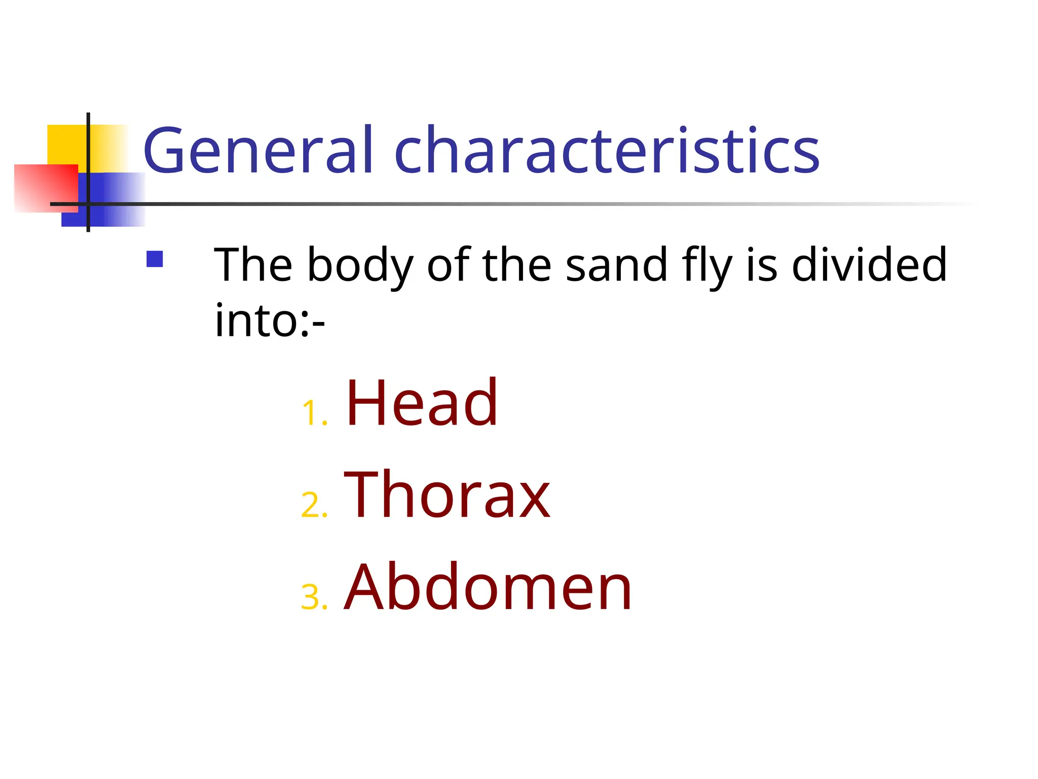 General characteristics
 The body of the sand fly is divided
into:-
1. Head
2. Thorax
3. Abdomen
 