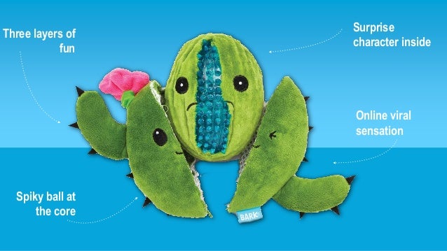 consuela the cactus dog toy