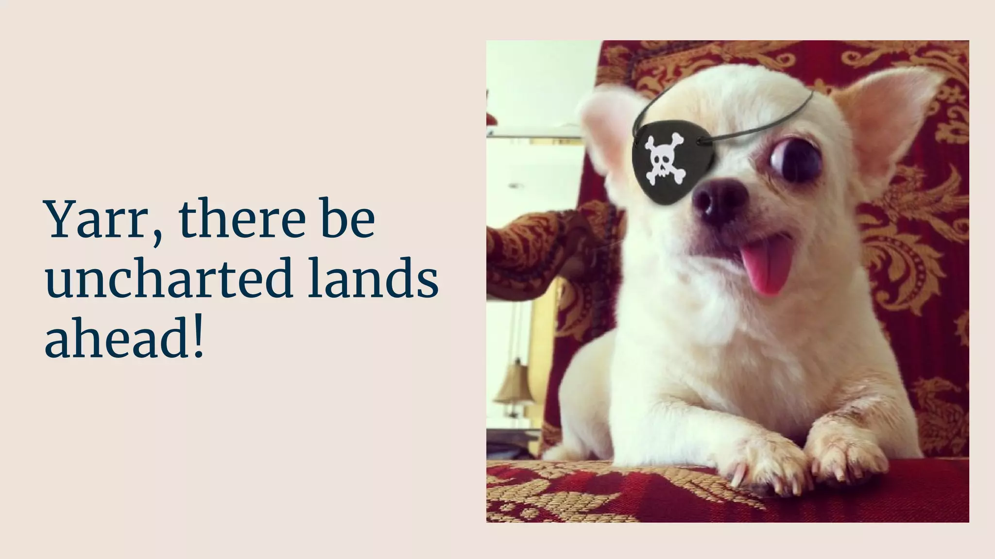 Yarr, there be
uncharted lands
ahead!
 