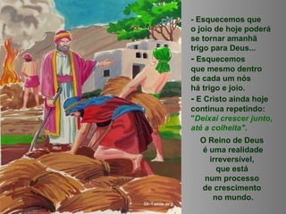 - Esquecemos que
o joio de hoje poderá
se tornar amanhã
trigo para Deus...
- Esquecemos
que mesmo dentro
de cada um nós
há trigo e joio.
- E Cristo ainda hoje
continua repetindo:
"Deixai crescer junto,
até a colheita".
O Reino de Deus
é uma realidade
irreversível,
que está
num processo
de crescimento
no mundo.
 